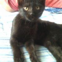 ちゅみ 会員画像