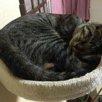 ススム 会員画像