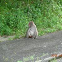 よしー 会員画像