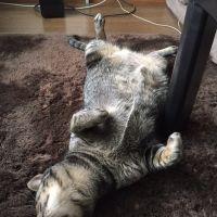 会員画像