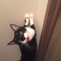 hamasan0528 会員画像