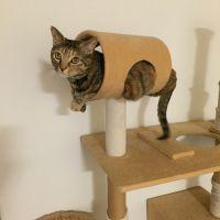 会員画像