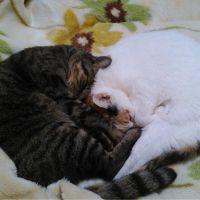 つぼりく 会員画像