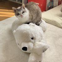 江口さくら 会員画像