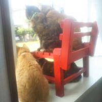 会員画像