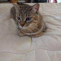 MovieDoc 会員画像