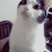Lily0409 会員画像