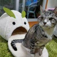 ほりもと 会員画像