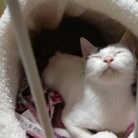 会員画像