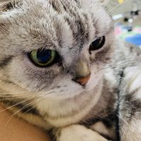 サイダ 会員画像