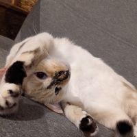 会員画像