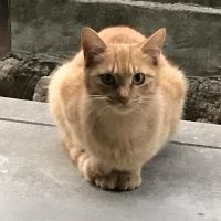 会員画像