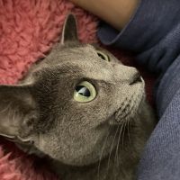 ミケバヤシ 会員画像