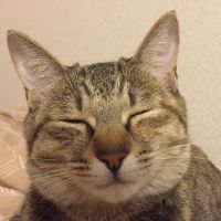 ころ&るー 会員画像