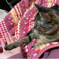ききつゆさん