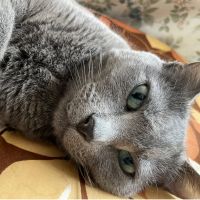 さともちさん