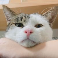 会員画像