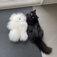 みずき0114 会員画像