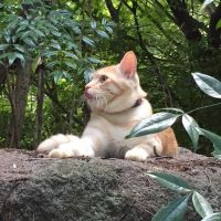 メイクウユウさん