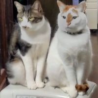 タマラ 会員画像