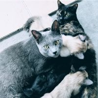 抜ユウさん