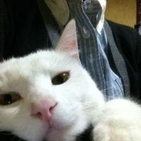 ラスク 会員画像