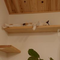 会員画像