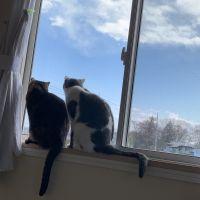 やのまる 会員画像