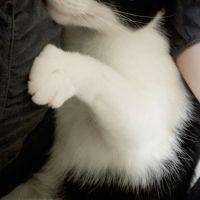 会員画像