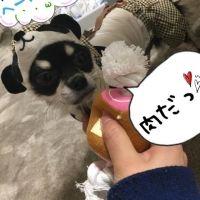 こじくん 会員画像