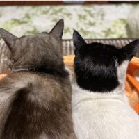M蔵 会員画像