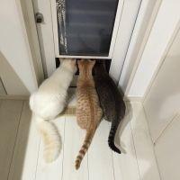 裕一郎 会員画像