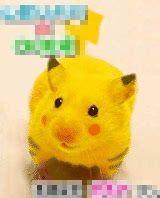 ストライプス 会員画像
