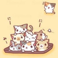 ねこぽん2 会員画像