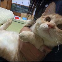 会員画像