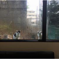 会員画像