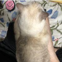 乙一 会員画像