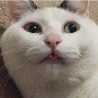 hanaはな 会員画像