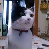 さーり@徳島 会員画像