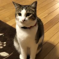 さっせー 会員画像