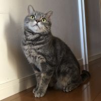 mimimi30さん