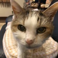 しょお 会員画像