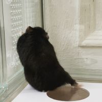 爽やかサムライさん