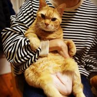 ららぽんたさん