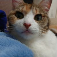 くろみいのんさん