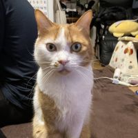 まいささ 会員画像