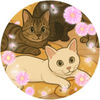 地域猫プロジェクトチームさん