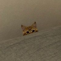 witheさん