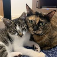 しょえ 会員画像