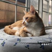 モリタリュウジ 会員画像